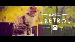 Pixel Film Studios - FCPX LUT Retro - Vintage Look-Up Tables - Final Cut Pro X