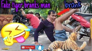 Fake tiger branks a man cleaning motor bike /branking so funny