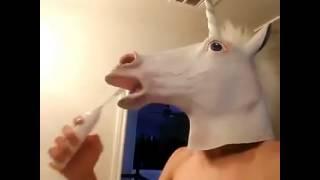 fucking horse