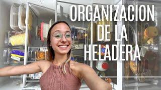 ORGANIZANDO MI HELADERA￼️