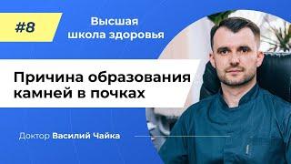 #8 Причина образования камней в почках. Спросите у доктора Василия Чайки, Высшая школа здоровья