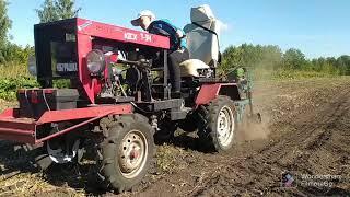Убираем урожай 2022 года самодельным мини трактором