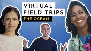 Virtual Field Trip | The Ocean