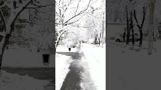 Snowy city walk. ️ Ukrainian nature. #soundofsilence #snow #walking  #shorts #youtubeshorts