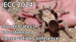 IECC 2024 - Invertebrates in Education and Conservation Conference