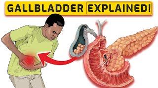 What Does the Gallbladder Do ?