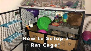 How to Setup a Rat Cage