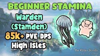 ESO Beginner Stamina Warden (Stamden) 85k+ PVE DPS High Isle DLC