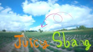 Morning Juicy Sbang Sbang    | FPV FREESTYLE