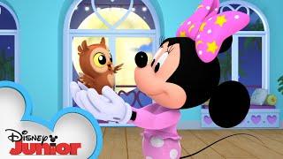 Goodnight Owl | Minnie's Bow-Toons    | @disneyjr