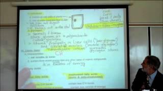 CARBOHYDRATES & FATTY ACIDS by Professor Fink