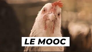 Teaser Mooc 2022 de La Coopération Agricole