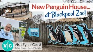 Posh new pad for the Penguins at Blackpool Zoo!