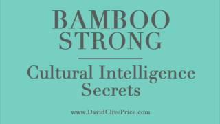 Bamboo Strong Book -  Cultural Intelligence Secrets | David Clive Price