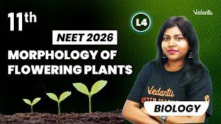 Morphology of Flowering Plants L4 | Class 11 Biology | NEET 2026 | Sandra Ma'am