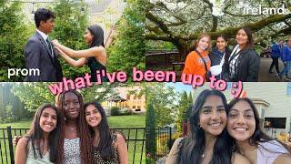 what i've been up to | prom, sweet sixteen, thrifting and more!