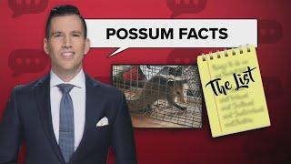 The List: Things Pat learned in trying to trap a possum