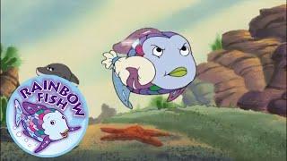 Rainbow's Dental Dilemma - Rainbow Fish - Episode 7