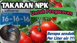 Takaran Pupuk NPK Mutiara untuk Pengocoran Tanaman Tomat agar Subur dan Lebat Buahnya