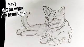 How To Draw A Cat || Easy Step By Step Cat Drawing For Beginners