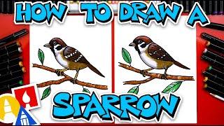 How To Draw A Sparrow