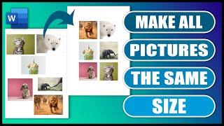 How To Make Pictures in Word The Same Size | EASY TUTORIAL