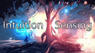 Intuition and Sensing - Themes and Details | MBTI