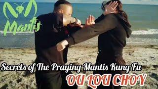 Secrets of Praying Mantis Kung Fu - Ou Lou Choy for Self Defense