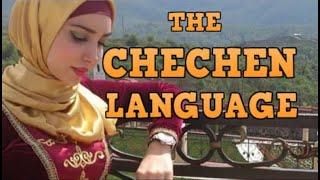 THE CHECHEN LANGUAGE - GRAMMAR DESCRIPTION (ENGLISH VERSION)