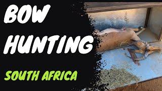 Bow hunting Africa!!                                    #farm #hunting #animals