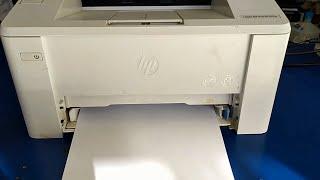 hp laserjet pro m102a paper jam