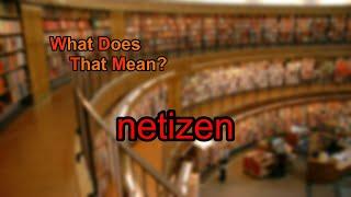 What does netizen mean?