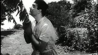 Sasural (1961): Jaana Tumhare Pyar Mein (Mukesh)