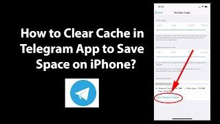 How to Clear Cache in Telegram App to Save Space on iPhone?