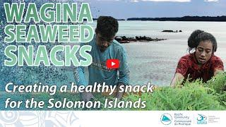 Wagina Island, the largest exporter of seaweed in the South Pacific