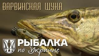 Рыбалка по Украине. Варвинская щука.