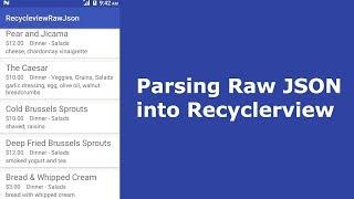 Parsing Raw JSON into Recyclerview