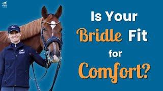 Fit Your Bridle for Optimal Comfort