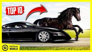 These 10 HORSE Breeds Can OUTRUN Your Car