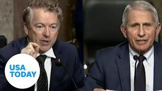 Watch Sen. Paul and Dr. Fauci's COVID-19 clashes | USA TODAY