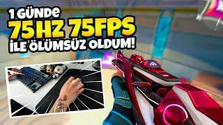 8 saatte 75 HZ + 75 FPS ile İMMORTAL Oldum! | Valorant