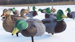 White Rock Decoys Unboxing First looks! I like them a lot!