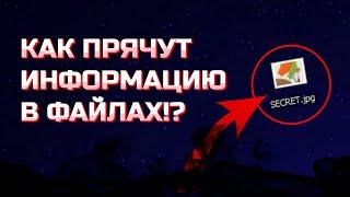 Что такое СТЕГАНОГРАФИЯ? | Как извлечь СКРЫТУЮ информацию из файла?