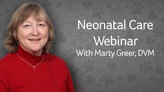 How to Care for Newborn Puppies & Kittens: Neonatal Care with Dr. Greer