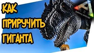 ARK: Survival Evolved - КАК ПРИРУЧИТЬ ГИГАНОТОЗАВРА (giganotosaurus)