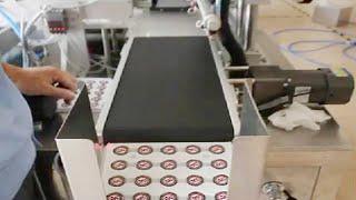 fully automated coin cell labeling machine sticker labeler equipment