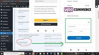 The best Payment Gateway loader Provider For WooCommerce: Codarab Payment Plugin