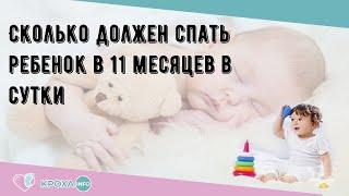 Сколько должен спать ребенок в 11 месяцев в сутки