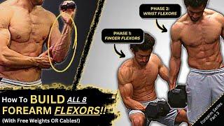 How to Build ALL 8 Forearm Flexors (4 Finger Flexors + 4 Wrist Flexors = Big & Ripped Forearms!) 