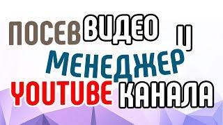 Размещение и посев видео - что делает менеджер YouTube канала?